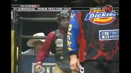 Austin Meier Vs. Yellow Ii 