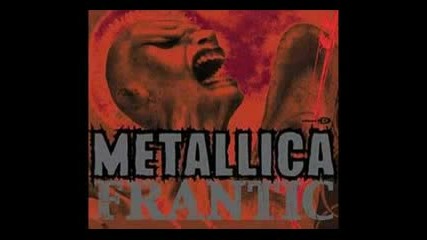 Metallica - Frantic (unkle Remix)