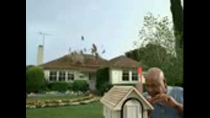 How A Butterfly Destroyed My Neighbors Roo
