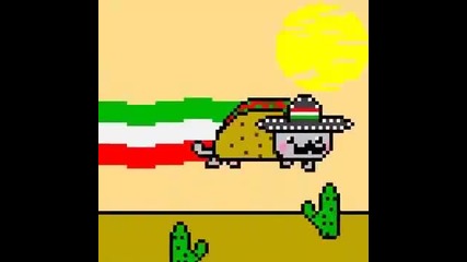 mexican Nyan Cat