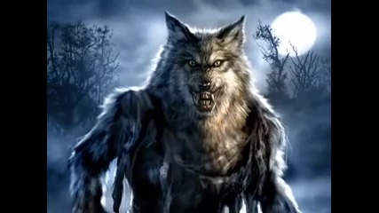 Wolf Man Digital Paint... Time lapsed 