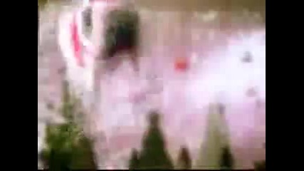 jingle pets song