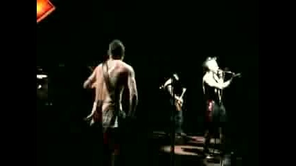 Red Hot Chili Peppers - Subterranean Homes