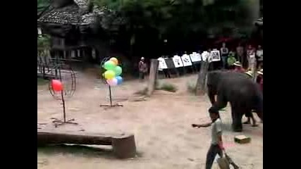 Слон Пука Балони Със Стрелички