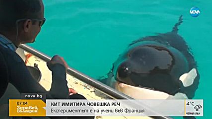 Новините на NOVA (02.02.2018 - 7.00 ч.)