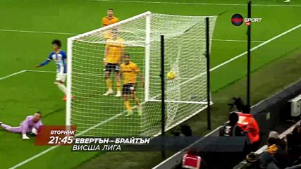 Евертън - Брайтън на 3 януари, вторник от 21.45 ч. по DIEMA SPORT