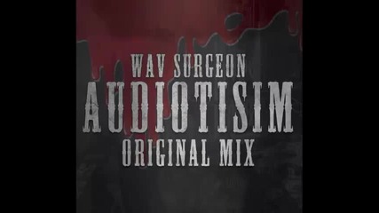 *2013* Wav Surgeon - Audiotisim ( Original mix )