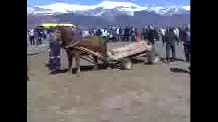 Galin 4elope4 1/2