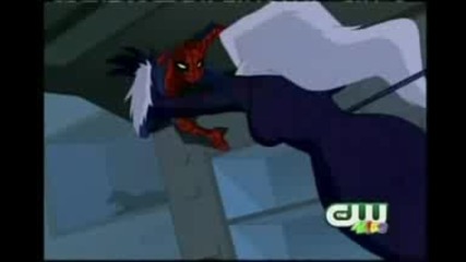 The Spectacular Spider - Man Black Cat