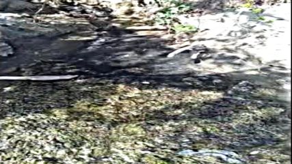 Канал с обратни води се излива в морето