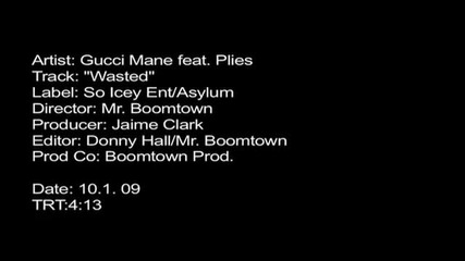 Gucci Mane - Wasted [feat. Plies]