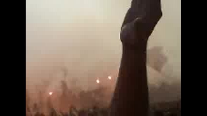 Ц С К А - лефски : Говеда сини + димки 09.05.2009