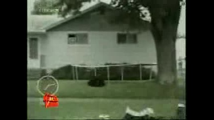 Funny video :d