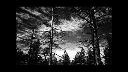 The Morningside - The Wind 