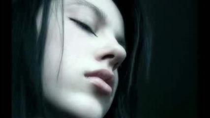 Pure Bliss Vocals 12