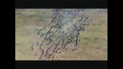 Най - красивите гледки с най - красивата музика