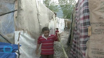 U.N. Agency Urges Truce in Syria Fighting During Harvesting