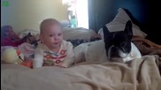 Best Babies and Animals Compilation 2013