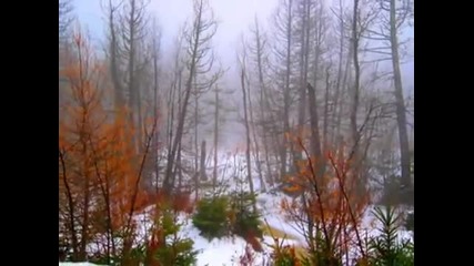 Ваня Дженезова-ти ли бе Георги