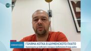 Как рядък хищник попадна в района на Шуменското плато