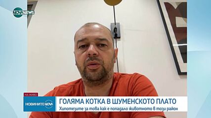 Как рядък хищник попадна в района на Шуменското плато
