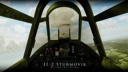Il - 2 Sturmovik Birds Of Prey