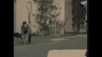 Renault Water Football