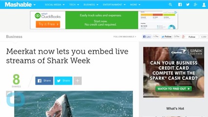 Meerkat Now Lets You Embed Live Streams of Shark Week