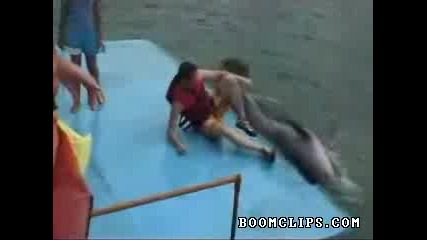 Нападението На Делфина 