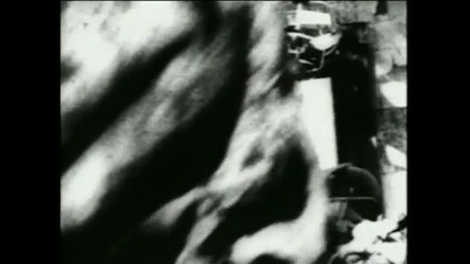 Marilyn Manson Cryptorchid
