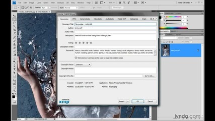 Photoshop Top 40, Feature #13 - File Info