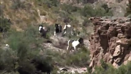 Native American Music