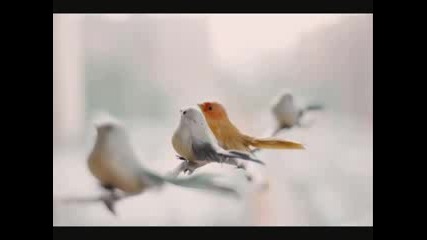 Azure Ray - Nothing Like A Song 