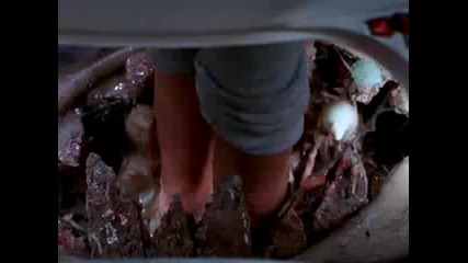 Its A Trap