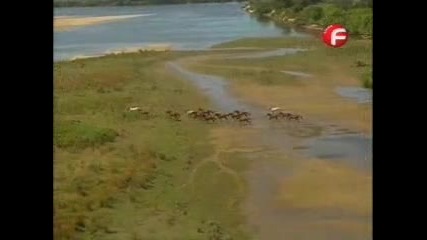 Магия за любов 258 епизод 2 част 
