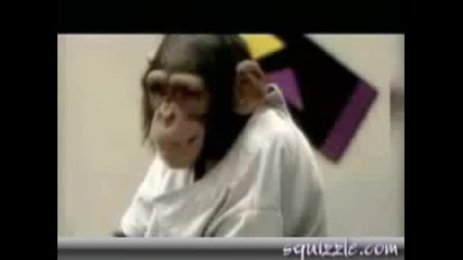Жени Се Целуват С Маймуни - Скрита Камера