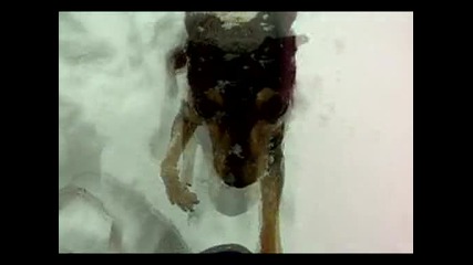Чарли в снега 