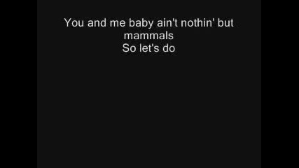 Bloodhound Gang - Bad touch (do it like they do on the Discovery Chanel) lyrics 