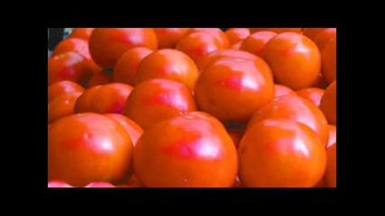 Варненци -- Тез червени домати