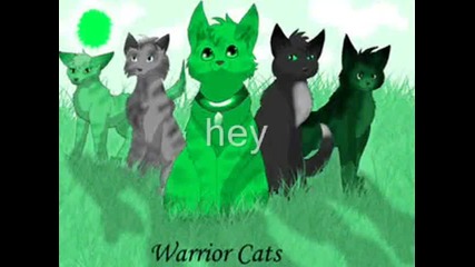 warrior cats