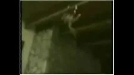 смешни хора и животни