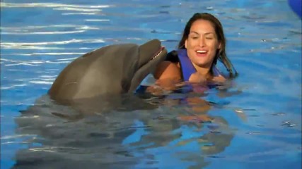 The Divas go swimming with dolphins Total Divas, May 18, 2014