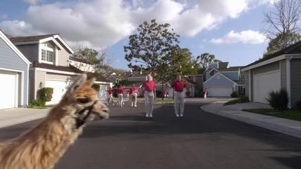 The Neighbors S01e04 - Bathroom Etiquette