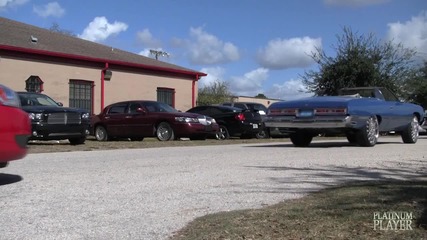 Donks Boxes Maro - Orlando Classic Series