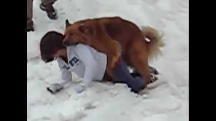 Кучето само това чакаше