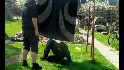 Перфектното място за скривалище на една нинджа * смях * 