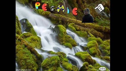 sesemez1