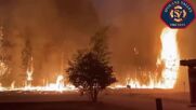 Вижте пожарите в щата Вашингтон през очите на пожарникарите (ВИДЕО)