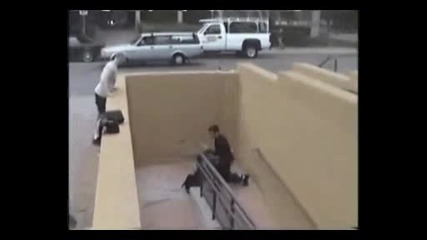 best of David Belle s videos 