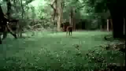 Реклама на Nike 